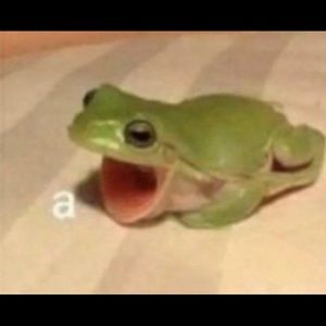 Meet your Posher, Elisa